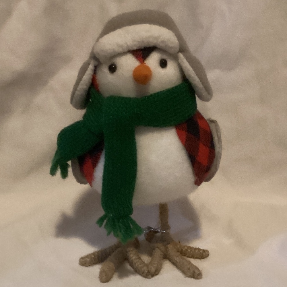 Christmas/Winter bird, Bayham